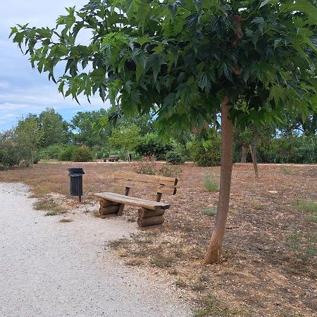Studio Proche De Perpignan Peyrestortes Esterno foto