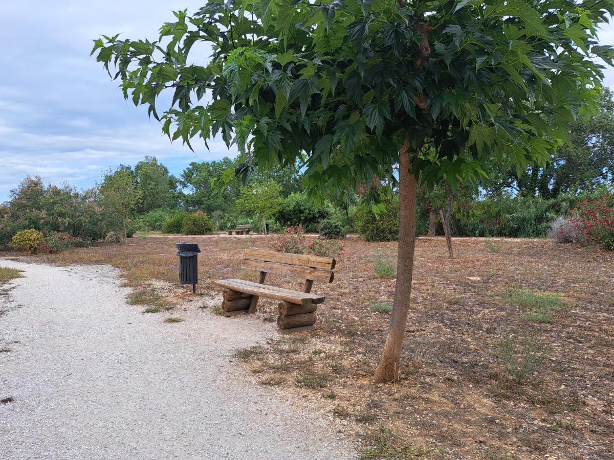 Studio Proche De Perpignan Peyrestortes Esterno foto